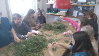 Eine Schülergruppe der Walddorfschule Hof (in Deutschland) interessiert sich für Kräuter