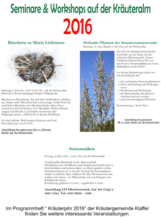 Seminare & Workshops
